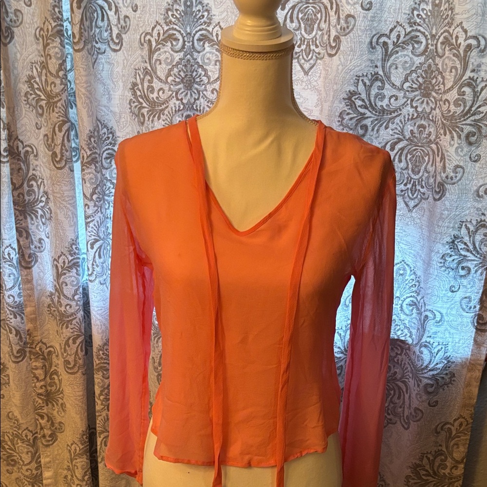 Express Sheer V-Neck Blouse